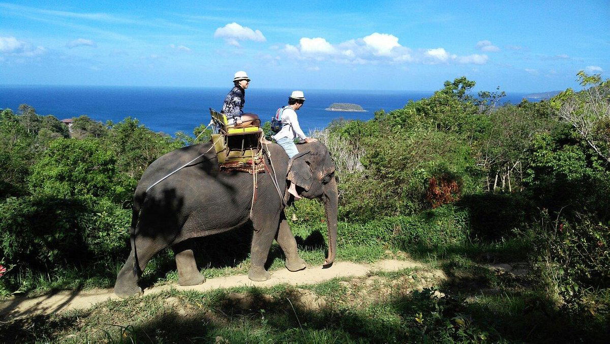ELEPHANT TREKKING